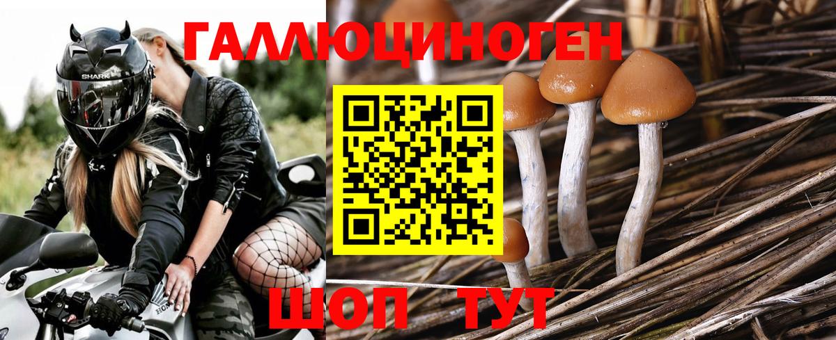 Бутурлиновка  Галлюциногенные грибы прущие грибы  Вход с VPN 